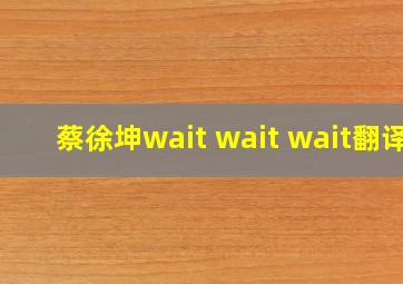 蔡徐坤wait wait wait翻译